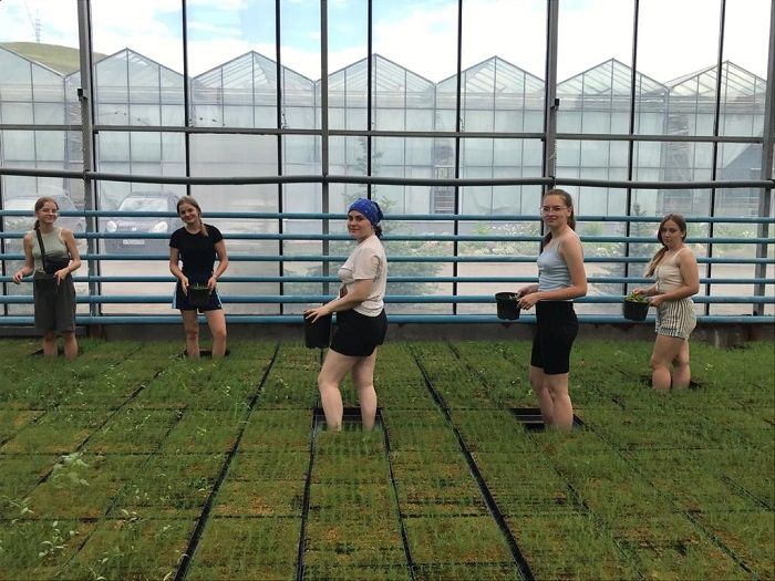 Odoo изображение и текстовый блок