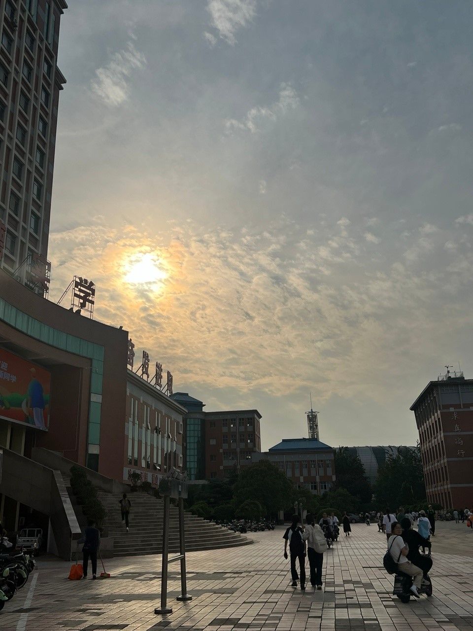 Odoo изображение и текстовый блок