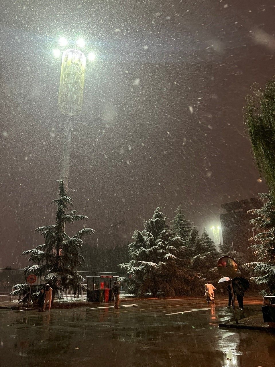 Odoo - Образец 3 для трех столбцов