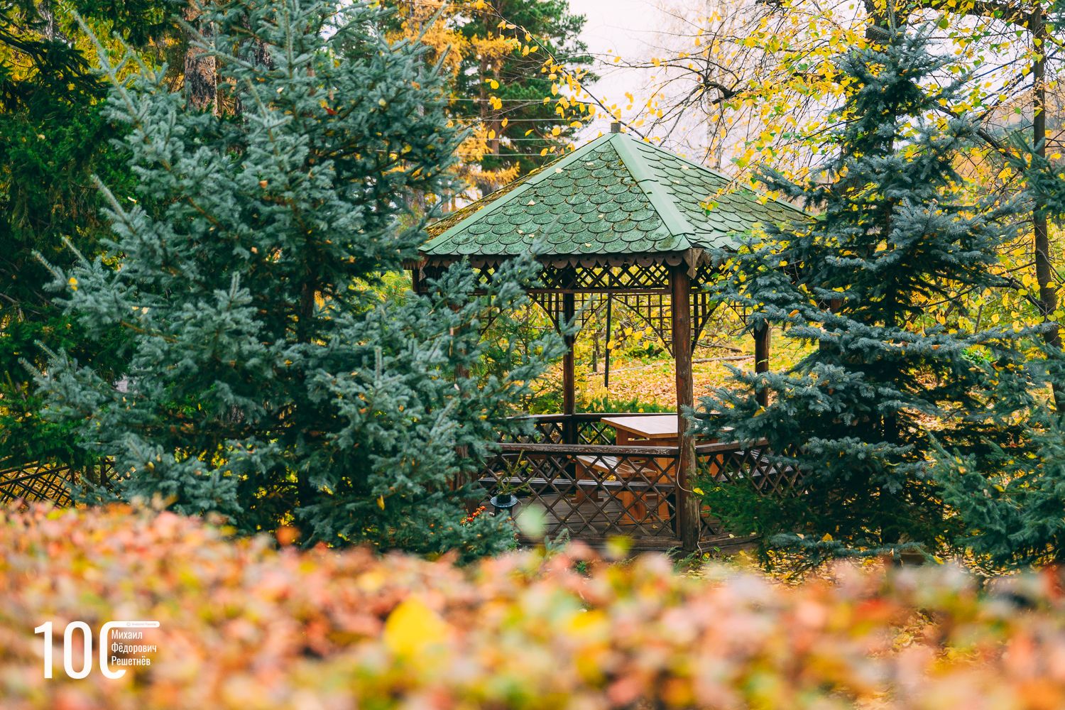 Odoo - образец 1 для трех столбцов