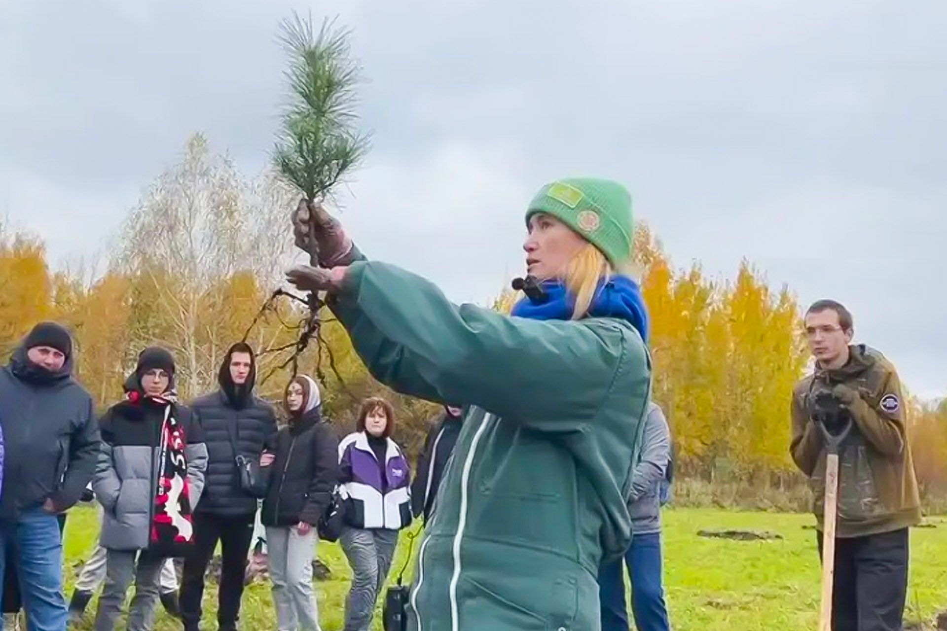 Odoo  текст и изображение блок