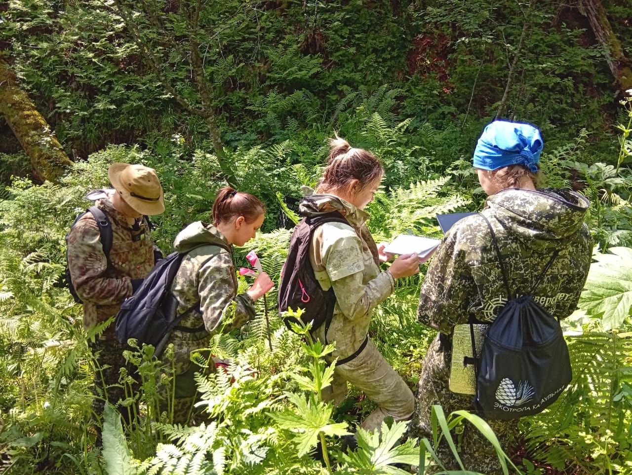 Разработка специальных приемов пересадки краснокнижных растений